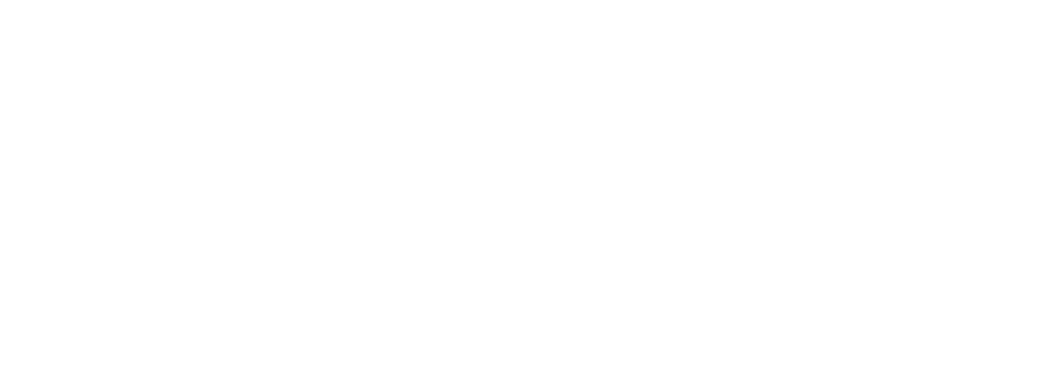 DigitalSE Logo